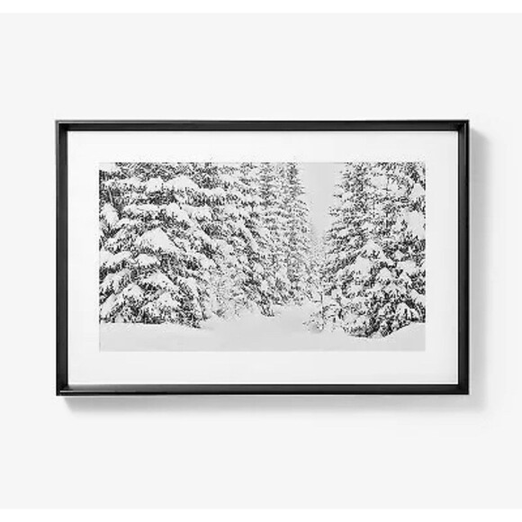 30”x20” Winter Tree Scene Framed Wall Art Print Threshold Studio McGee NEW - Picture 1 of 6